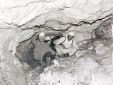 DSC_0224.JPG