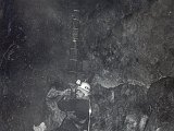 scansione0003.jpg